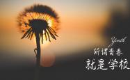 开云体育APP下载-2026世界杯C组，穆西亚拉的关键一传，如何让匈牙利在德意志堡垒前溃不成军