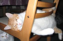 开云体育入口-双线告捷背后，是韧性的胜利