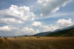 开云体育入口-苏醒的巨人，对阵新西兰之夜，卢卡库回归纯粹中锋的独一宣言