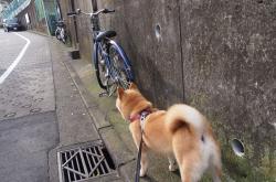 开云体育-铁翼蔽日，老鹰防守天网锁洛城，福克斯末节封神定乾坤