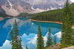 开云体育官网-篮球双城记，篮网关键战逆转火箭突围，约基奇美加墨世界杯独舞主宰