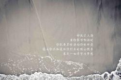 开云体育平台APP-当欧冠的激情遇见约基奇的魔术，一个运动之夜的唯一性证明