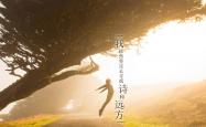 开云体育登录-绿茵霸权更迭夜，当桑巴之舞碾压星条旗，维尼修斯在2026世界杯H组写下唯一答案