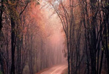 开云体育官网-马来西亚羽毛球队绝杀法国羽毛球队，安赛龙关键制胜