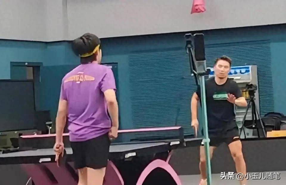 瑞典乒乓球队轻取英国乒乓球队,马龙统治全场 瑞典乒乓球队轻取英国乒乓球队,马龙统治全场