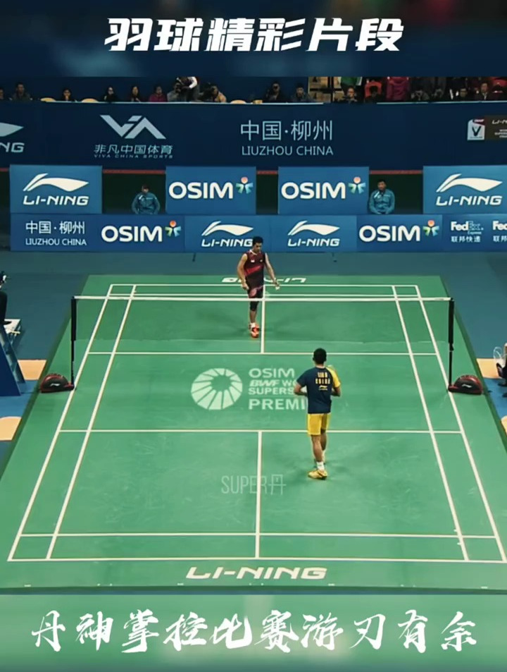 马来西亚羽毛球队鏖战丹麦羽毛球队，林丹高光表现