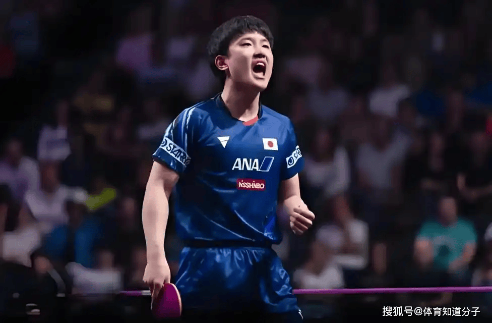 波兰队险胜瑞典队，张本智和状态火热