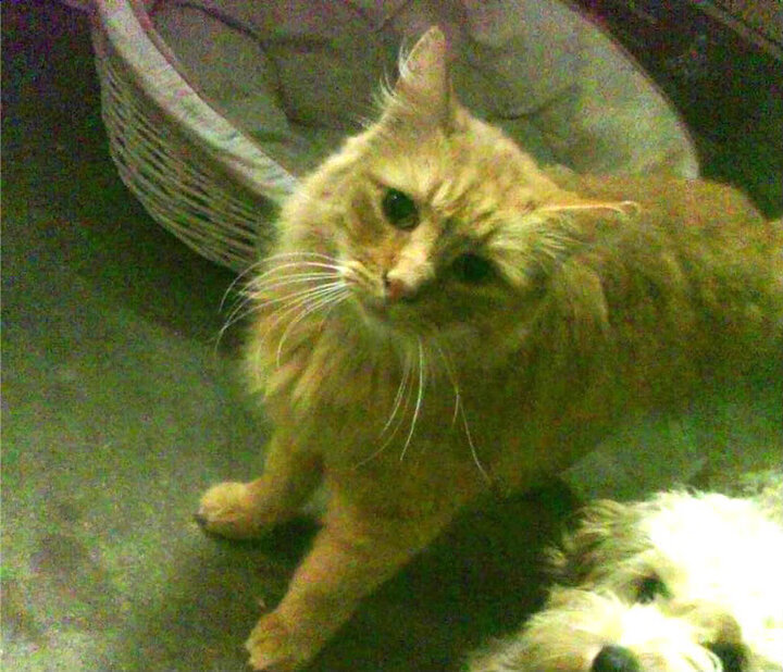 双线告捷背后,是韧性的胜利