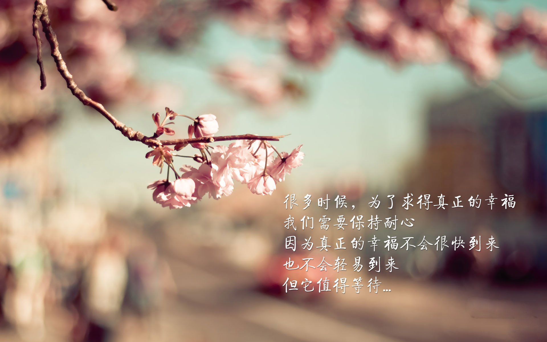 足球场上的乒乓球风暴,瑞典队横扫德国队,张继科如何统治全场?