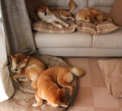 逆光越过叹息之墙,德罗赞于抢七炼狱中的加冕礼