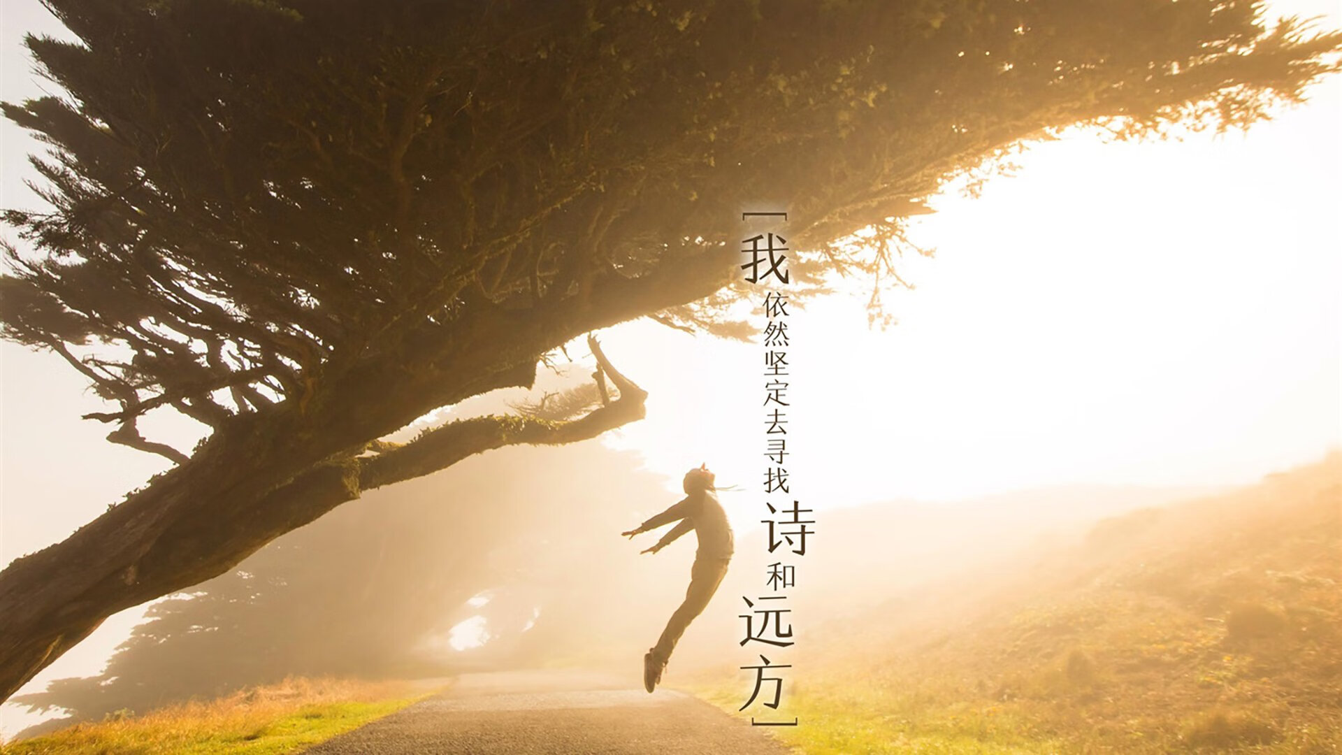 防守的两极，杰伦格林的火热爆发与步行者的冰封锁死