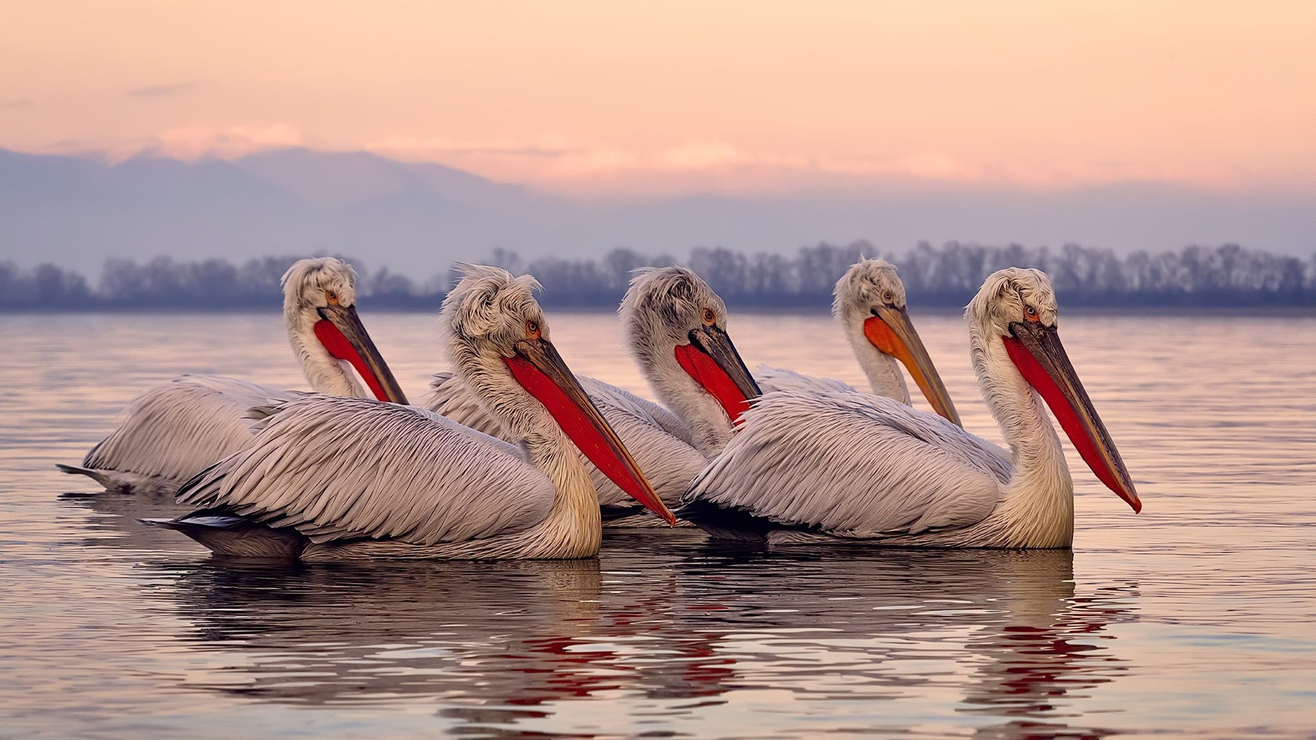 稳态点火与深空单核，从休斯顿的沉稳推进到武切维奇的宇宙级接管