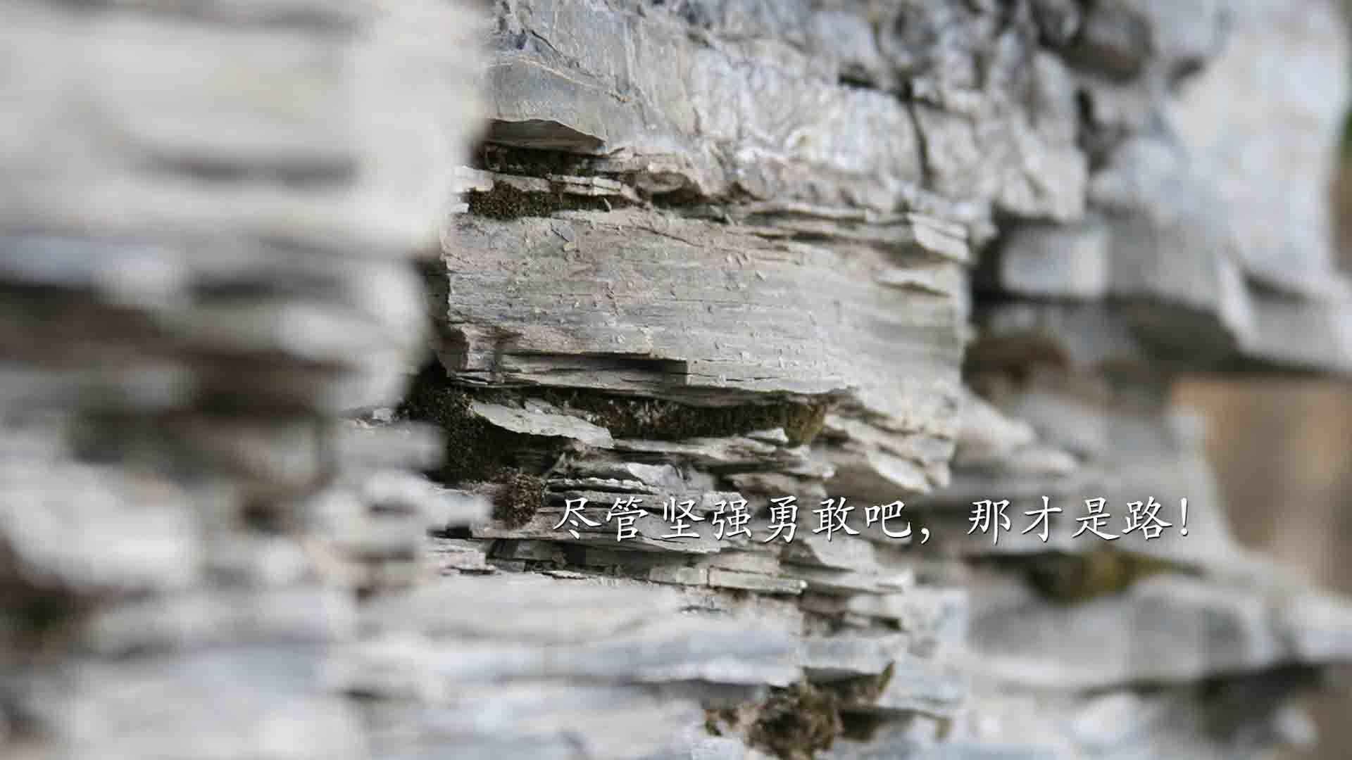 奥运周期关键战之夜,戈贝尔用实力证明自己