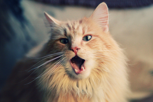 新王践祚，锡安轰塌洛杉矶王座，野蛮美学碾压时代逻辑