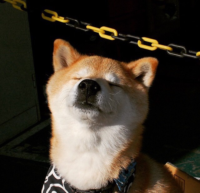 新王践祚，锡安轰塌洛杉矶王座，野蛮美学碾压时代逻辑