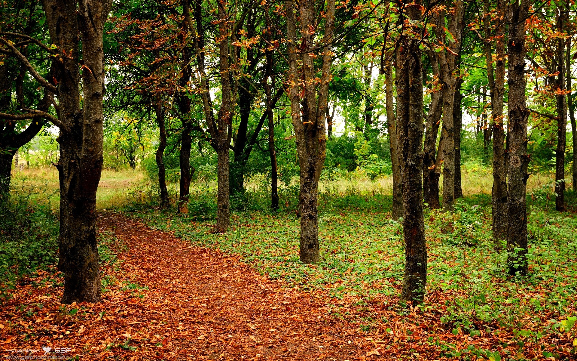凌晨之王!切尔西季前骑士出鞘,特奥单刀赴会刺穿爱尔兰防线