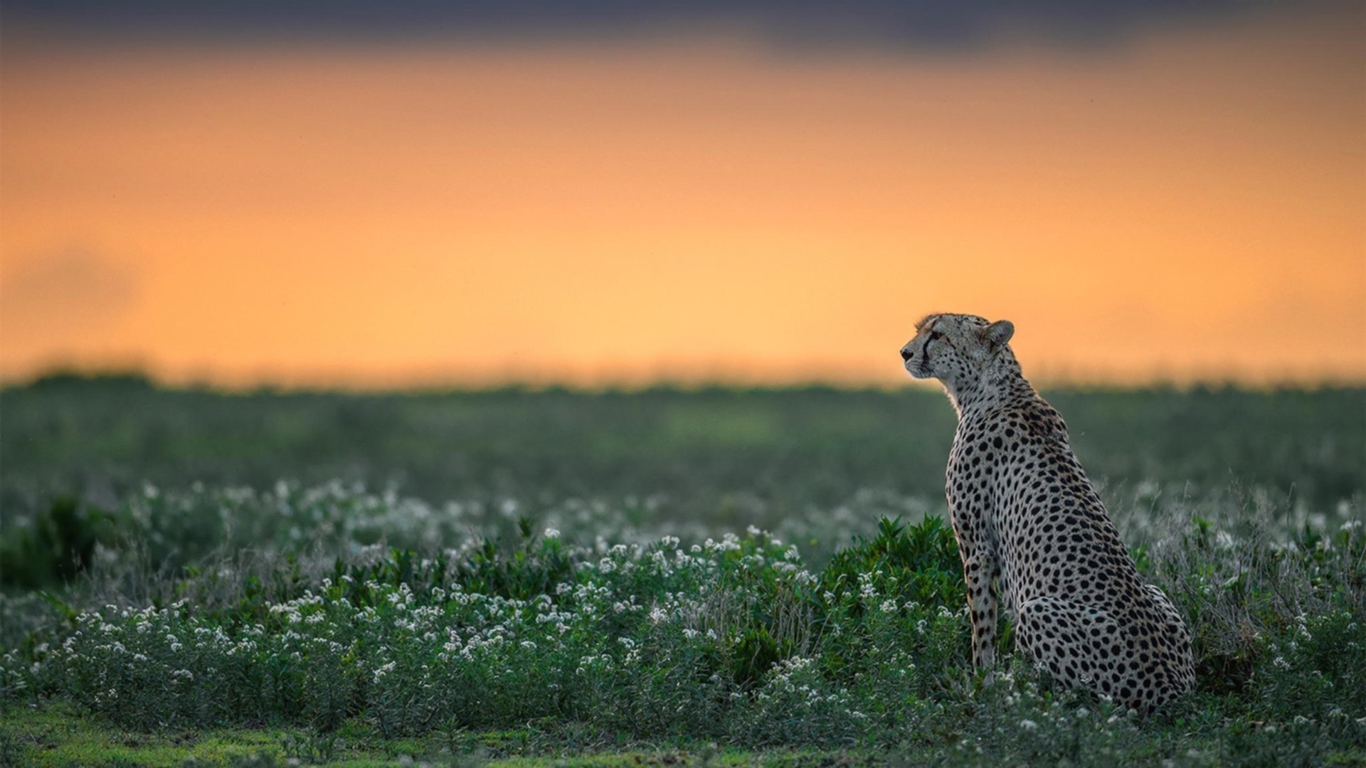 证明之战，凯尔特人在硬仗中击败快船，乔治末节神勇定乾坤
