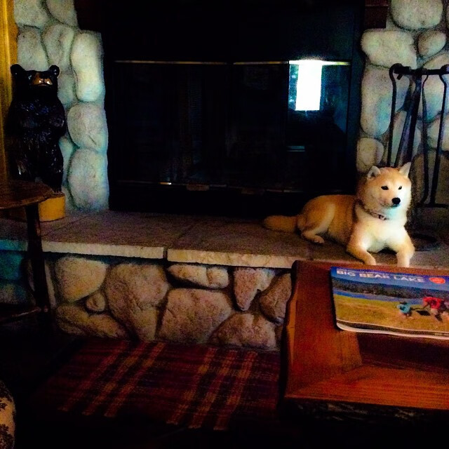 神兽觉醒，西决生死战之夜，锡安·威廉森的不可复刻唯一性