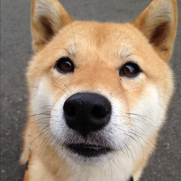 教科书级残局大师，凯塞多一役定乾坤，巴萨扼杀丹麦黑马奇迹