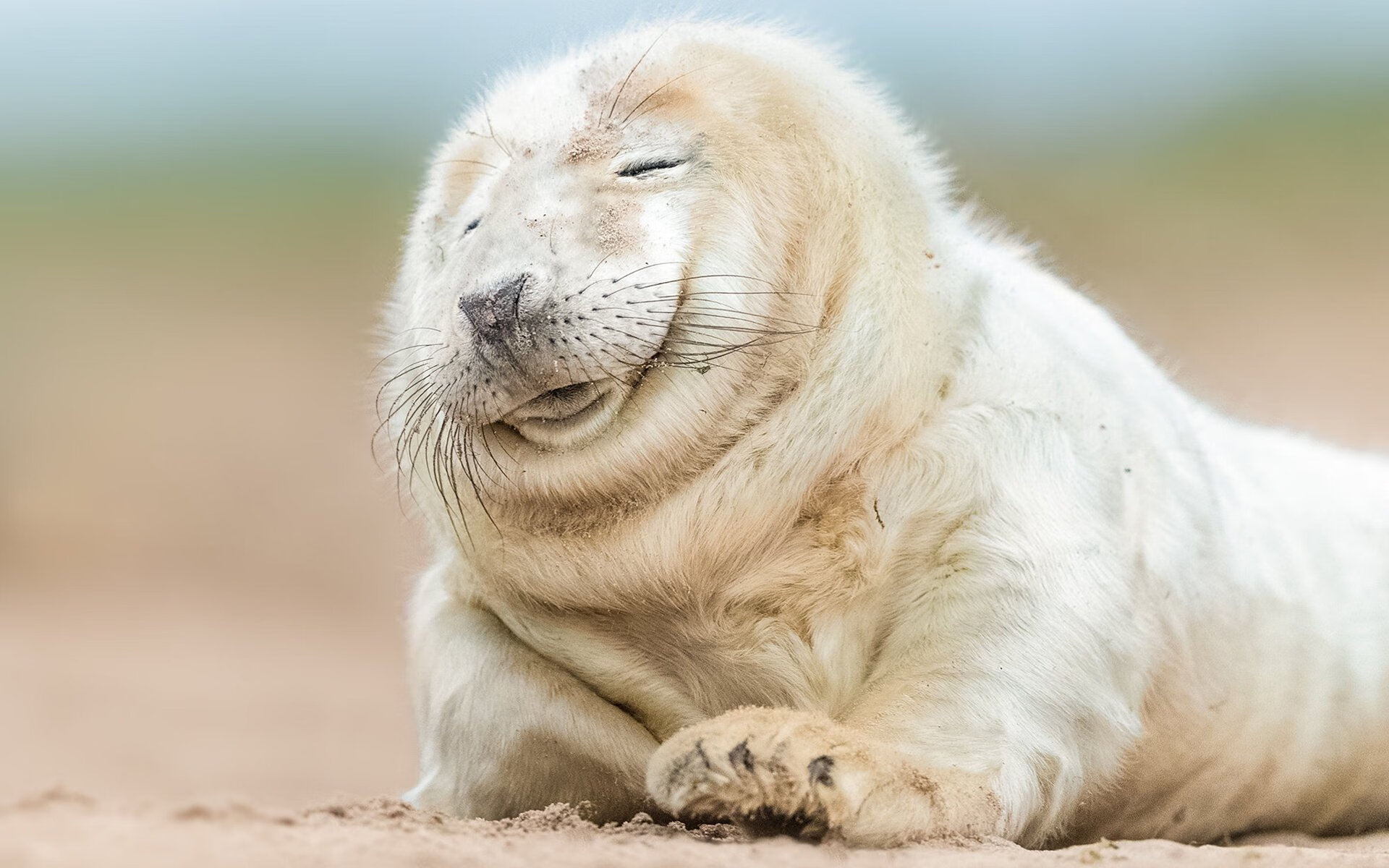 戈贝尔淬火记,爆冷吉林一战成关键先生