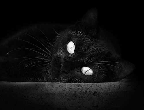 锻造与淬火，奥运周期关键战，山西队如何击败火箭为备战注入强心剂