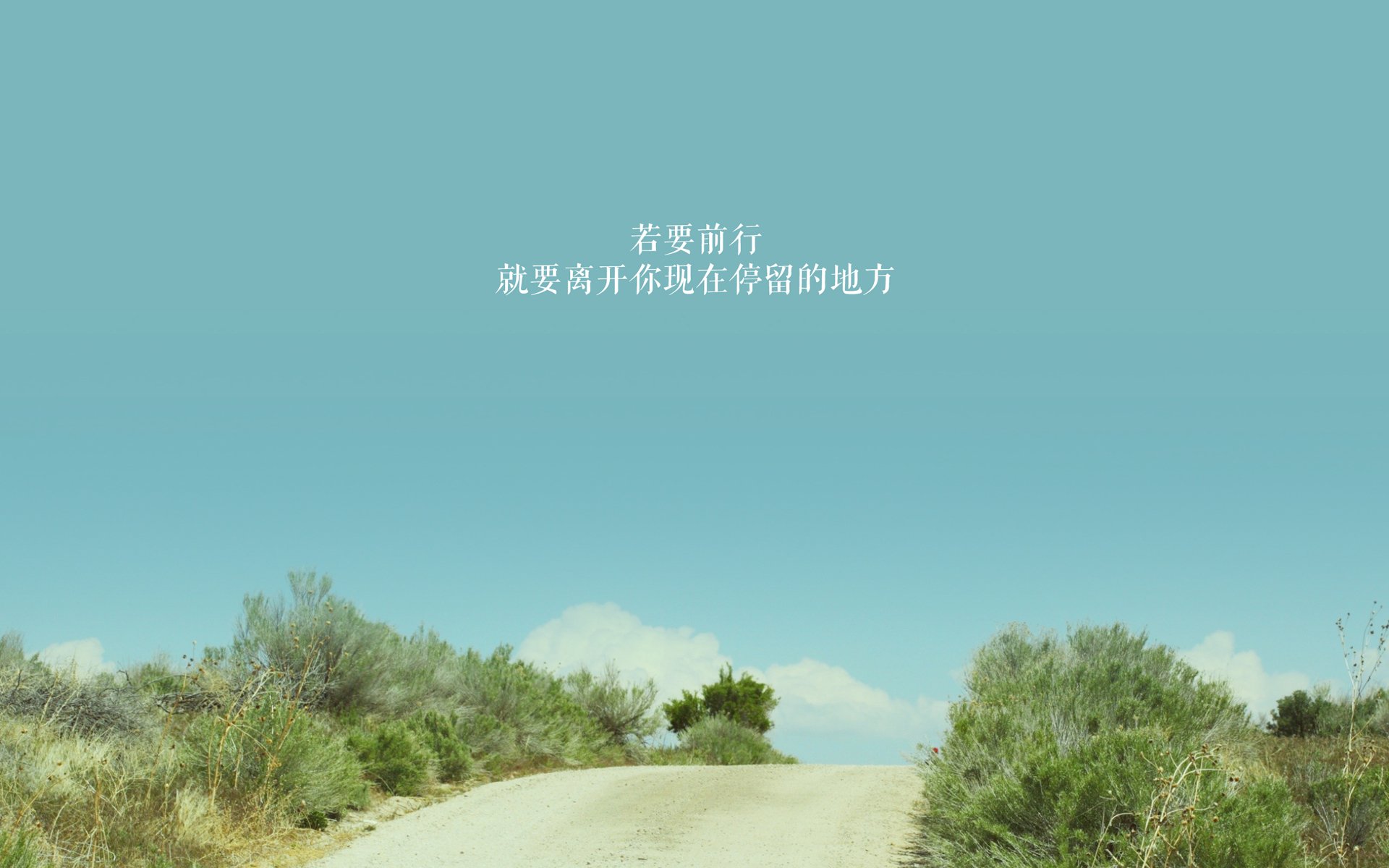 2026,绝杀之夜,C罗的永恒一瞬,加拿大黑马奔腾