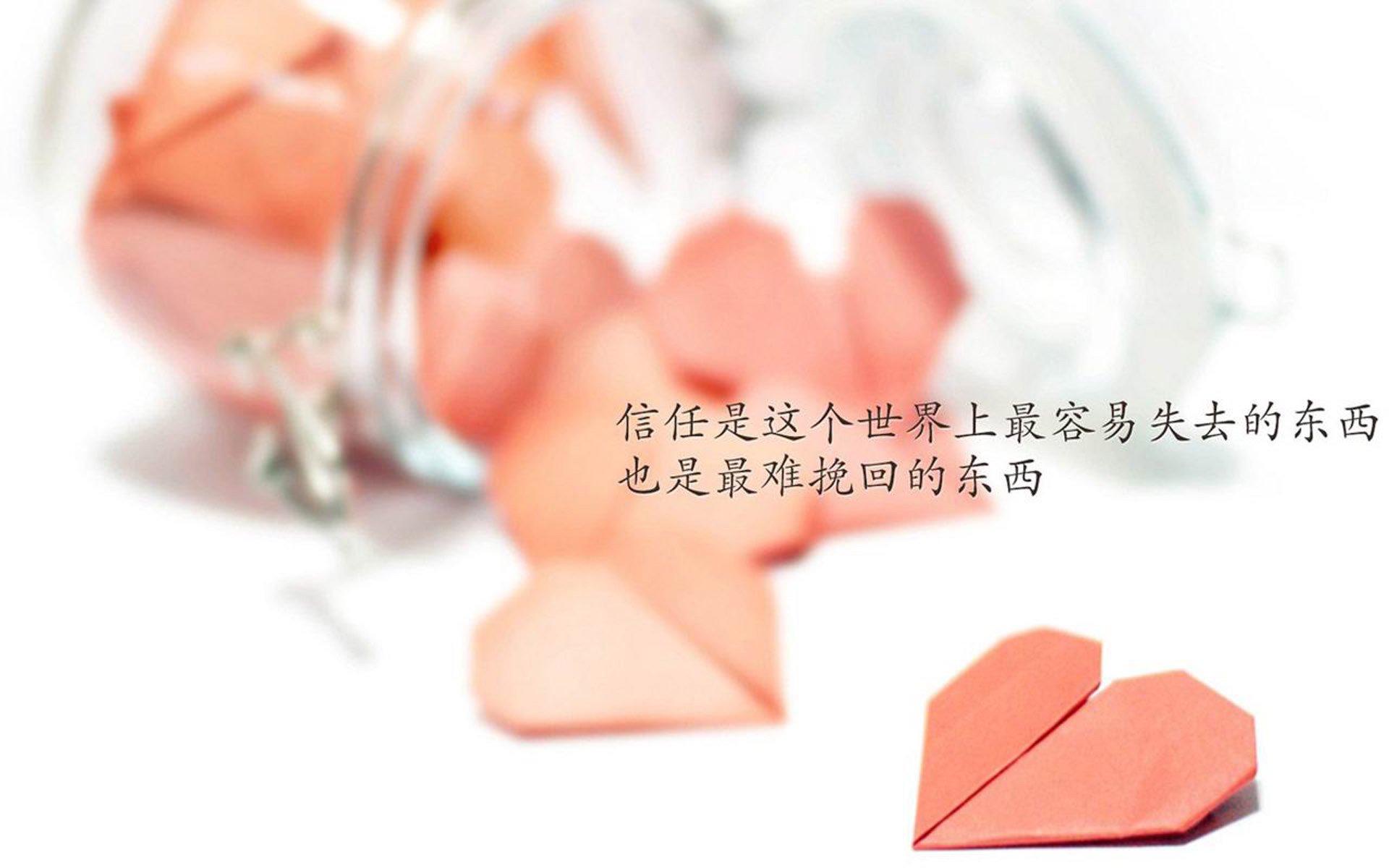 范戴克铁血防线定乾坤,替补奇兵一击制胜,2026世界杯F组德国战泰国,唯一性的历史转折点
